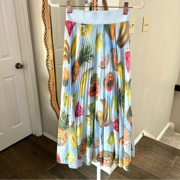 Aritzia Dresses & Skirts - Aritzia Light Blue Fruit Print A-Line Skirt